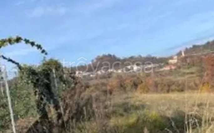 appartamento in vendita a Montecchio Maggiore