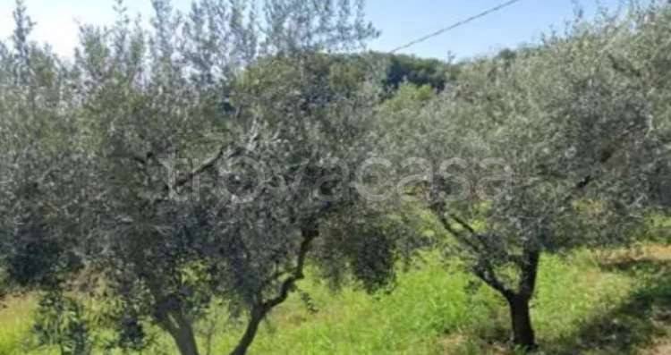 appartamento in vendita a Montecchio Maggiore