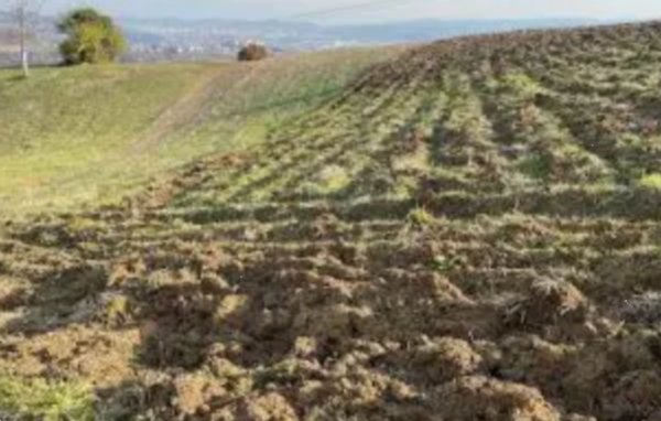 terreno agricolo in vendita a Montecchio Maggiore