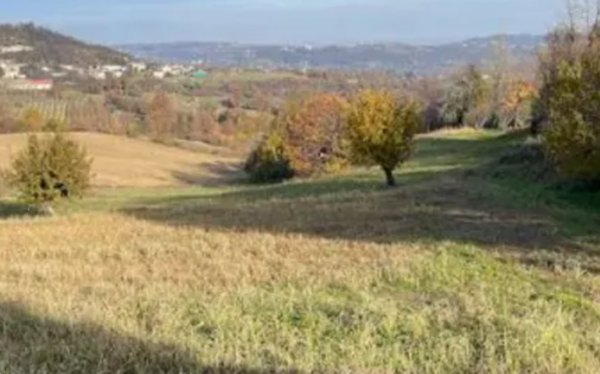terreno agricolo in vendita a Montecchio Maggiore