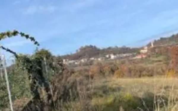 terreno agricolo in vendita a Montecchio Maggiore