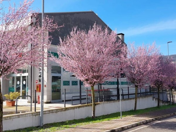negozio in vendita a Montecchio Maggiore in zona Alte Ceccato