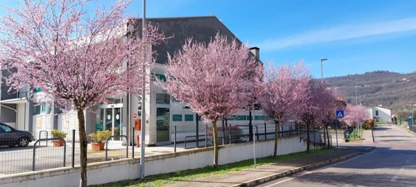 locale di sgombero in vendita a Montecchio Maggiore