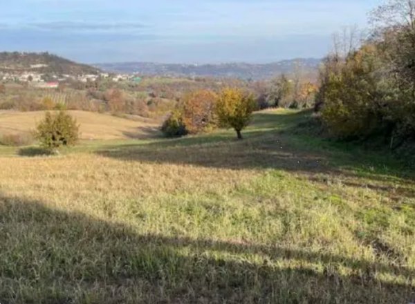 terreno agricolo in vendita a Montecchio Maggiore