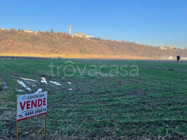 terreno in vendita a Montecchio Maggiore