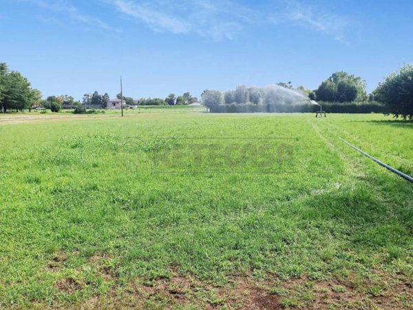 terreno agricolo in vendita a Montecchio Precalcino in zona Levà