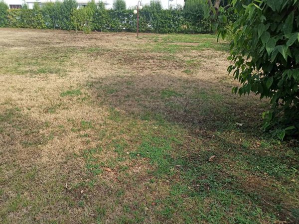 terreno edificabile in vendita a Montecchio Precalcino in zona Preara
