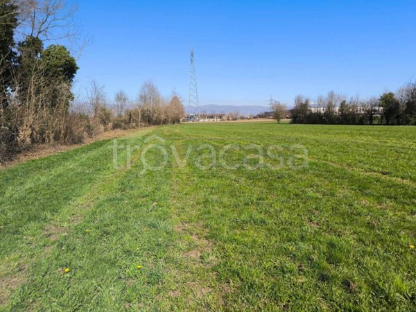 terreno agricolo in vendita a Montecchio Precalcino