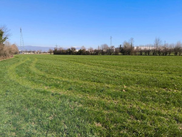 terreno agricolo in vendita a Montecchio Precalcino