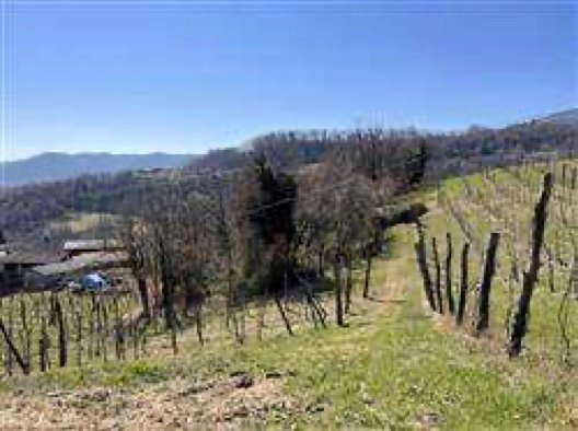terreno edificabile in vendita a Monte di Malo