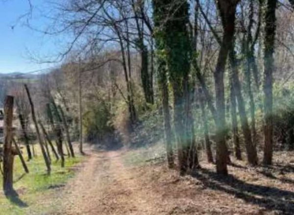 terreno agricolo in vendita a Monte di Malo