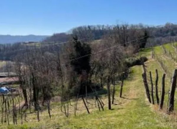 terreno agricolo in vendita a Monte di Malo