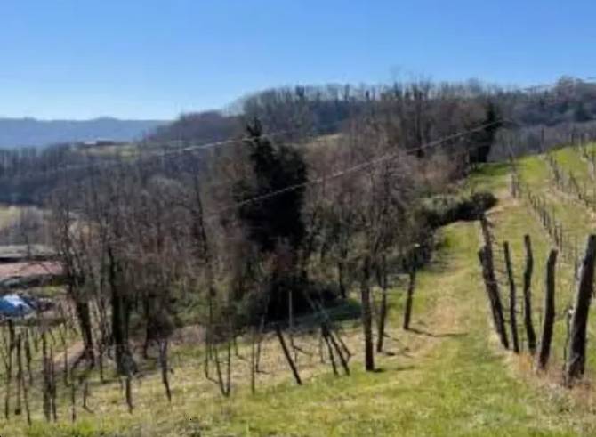 terreno agricolo in vendita a Monte di Malo
