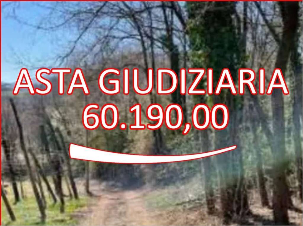 monolocale in vendita a Monte di Malo