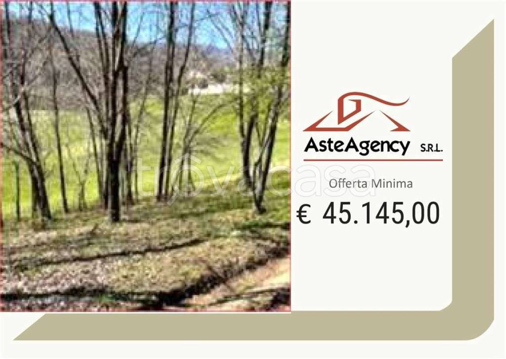 terreno agricolo in vendita a Monte di Malo