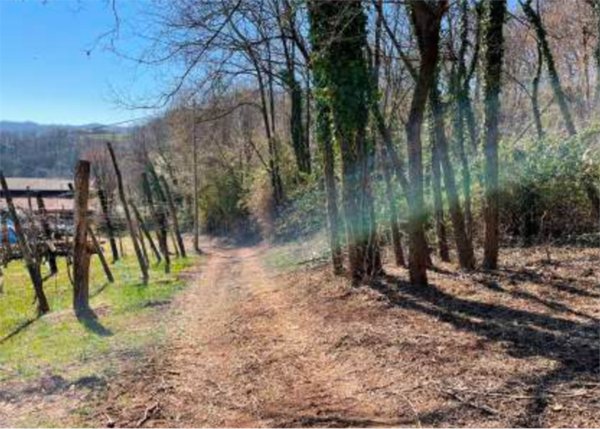 terreno agricolo in vendita a Monte di Malo
