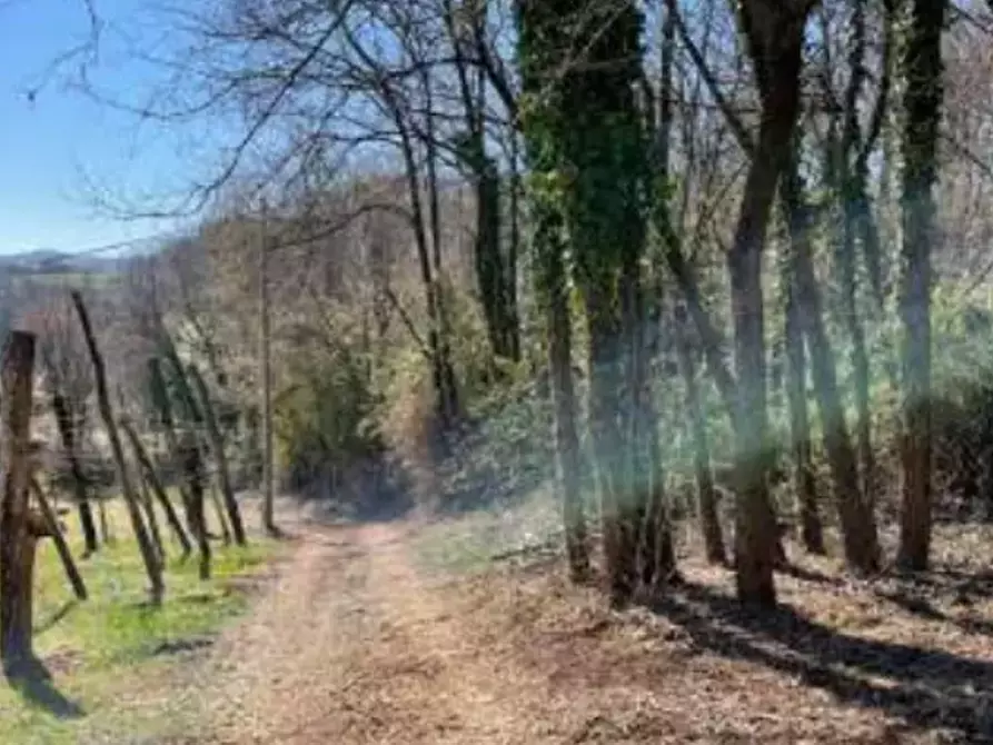 terreno agricolo in vendita a Monte di Malo