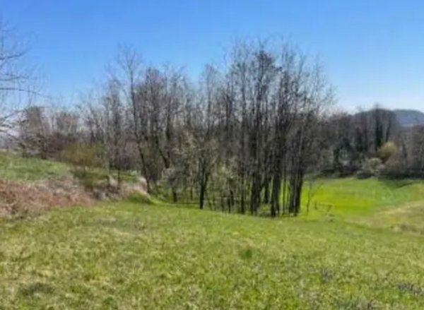 terreno agricolo in vendita a Monte di Malo