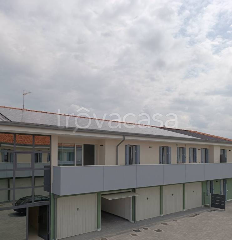 appartamento in vendita a Montegalda