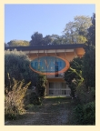casa indipendente in vendita a Montegalda