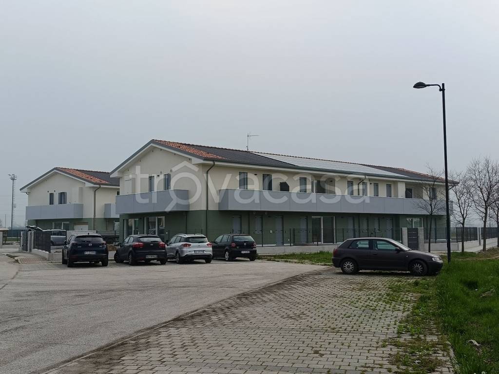 appartamento in vendita a Montegalda
