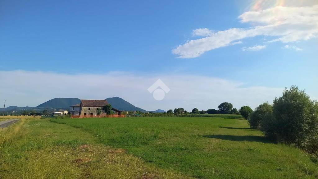 casa indipendente in vendita a Montegaldella