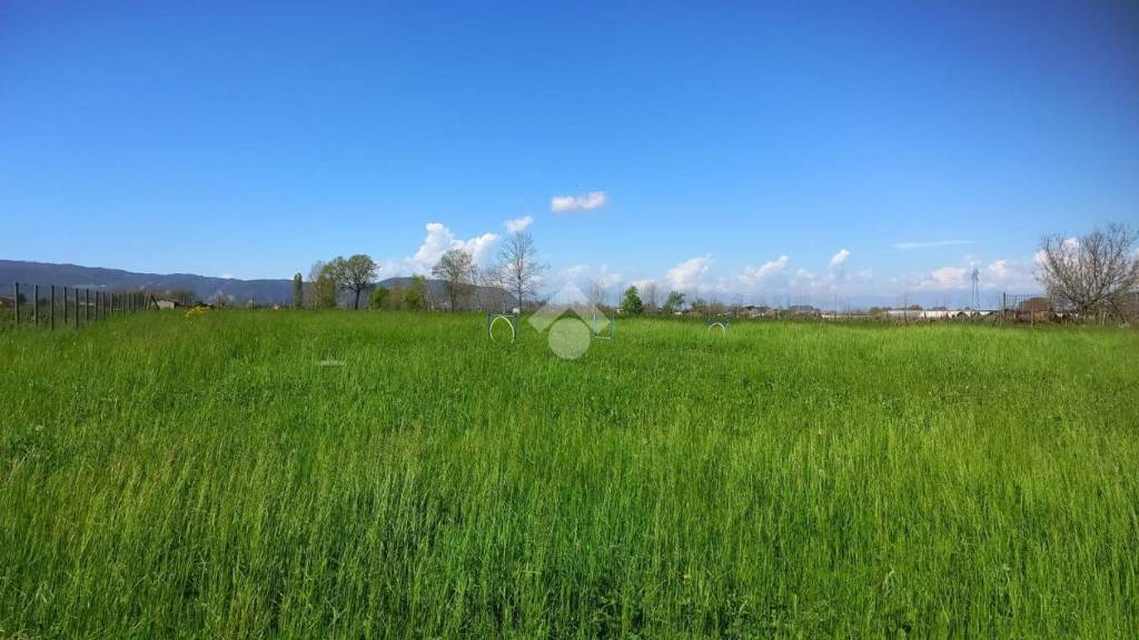 terreno agricolo in vendita a Montegaldella
