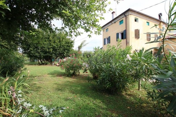 casa indipendente in vendita a Montegaldella