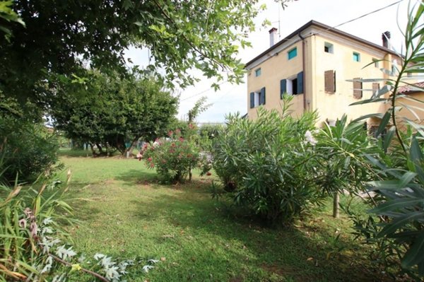 casa indipendente in vendita a Montegaldella