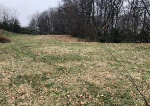 terreno edificabile in vendita a Monteviale