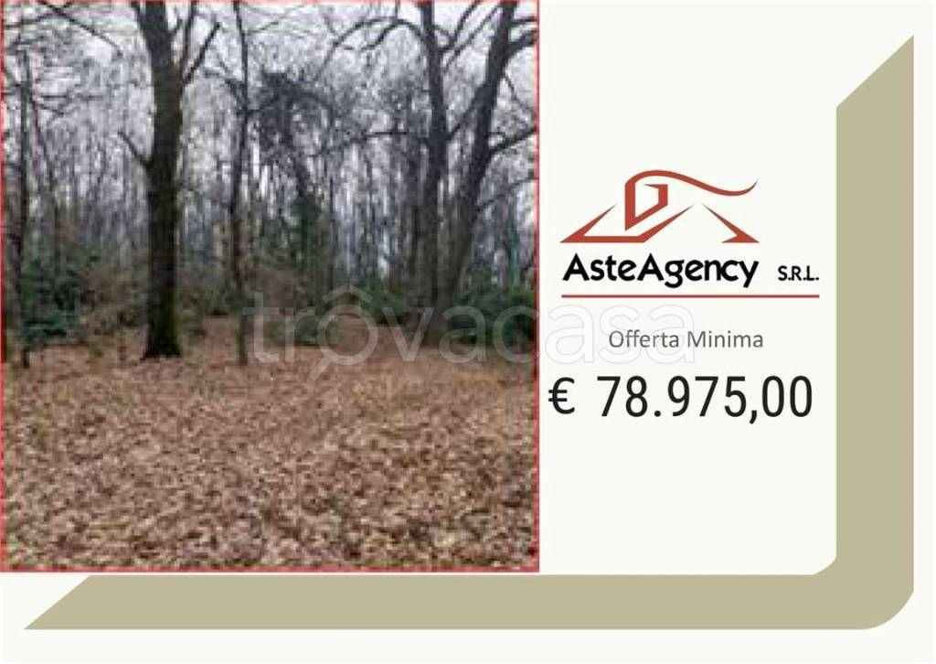 terreno agricolo in vendita a Monteviale