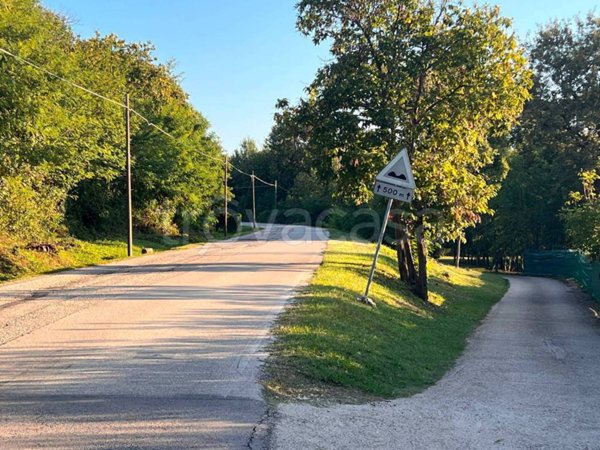 terreno agricolo in vendita a Monteviale