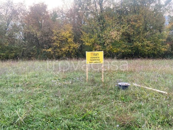 terreno agricolo in vendita a Monteviale