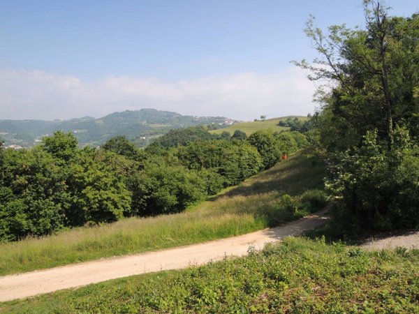 terreno edificabile in vendita a Monteviale