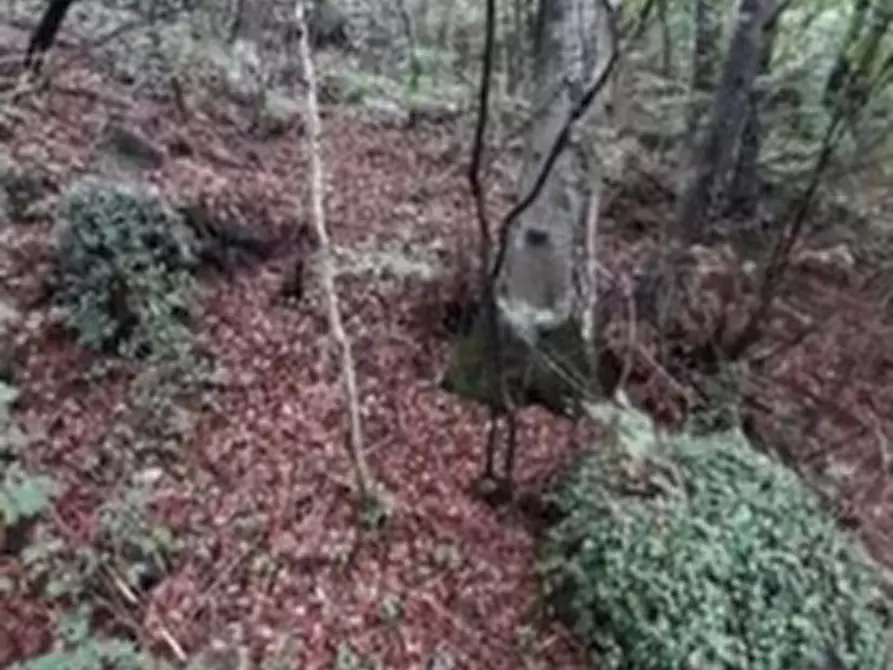 terreno edificabile in vendita a Montorso Vicentino