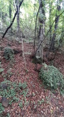 terreno edificabile in vendita a Montorso Vicentino