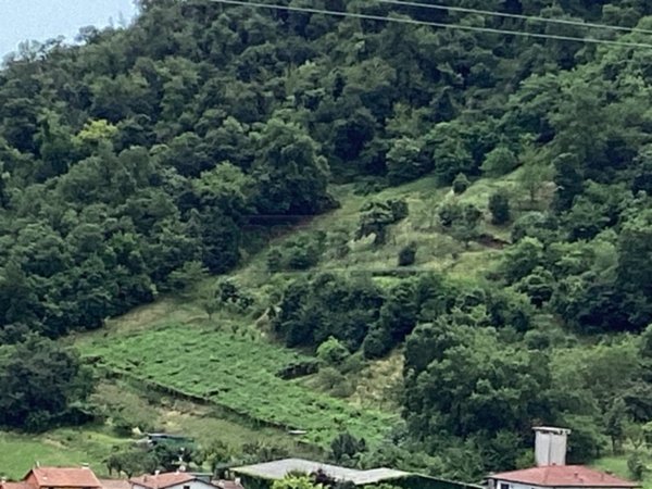 terreno agricolo in vendita a Montorso Vicentino