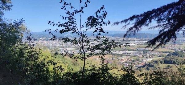 terreno agricolo in vendita a Montorso Vicentino