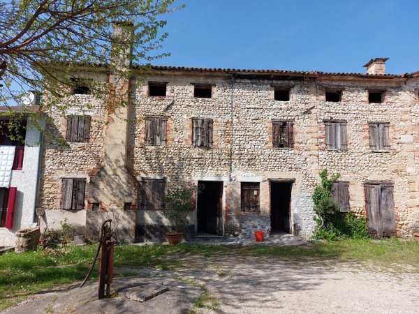esavano in vendita a Mussolente