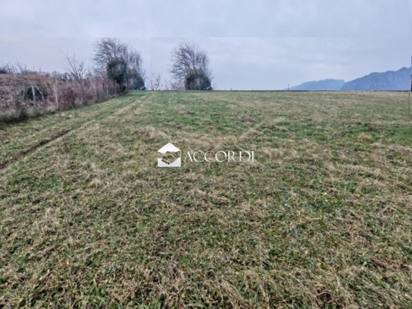 negozio in vendita a Mussolente
