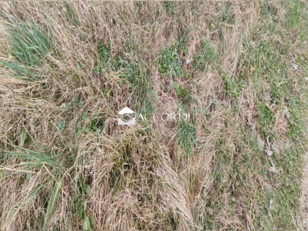 terreno agricolo in vendita a Mussolente