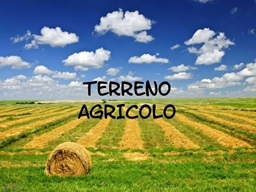 terreno edificabile in vendita a Mussolente