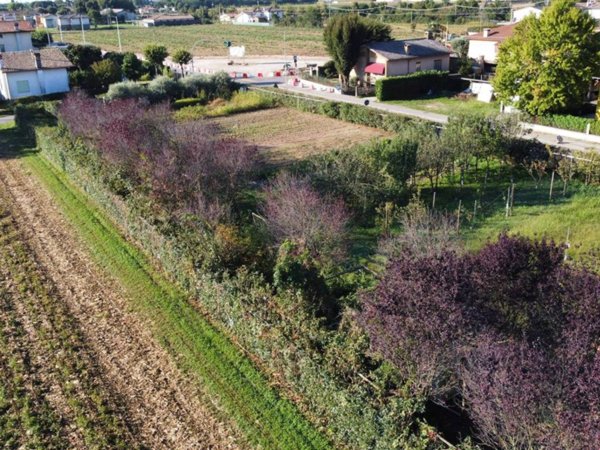 terreno agricolo in vendita a Mussolente in zona Casoni