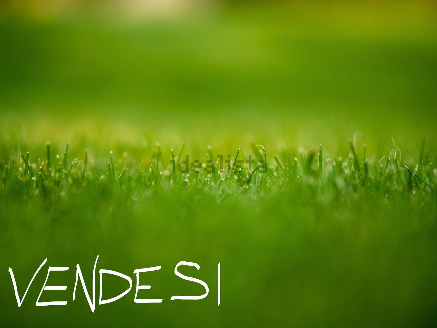 terreno edificabile in vendita a Mussolente