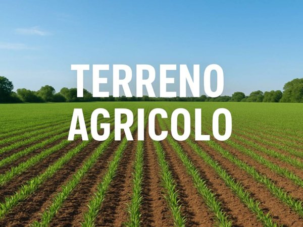 terreno agricolo in vendita a Mussolente in zona Casoni