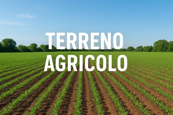 terreno agricolo in vendita a Mussolente in zona Casoni
