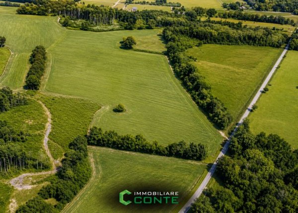 terreno agricolo in vendita a Mussolente