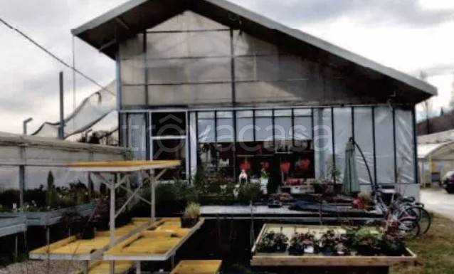 terreno edificabile in vendita a Mussolente