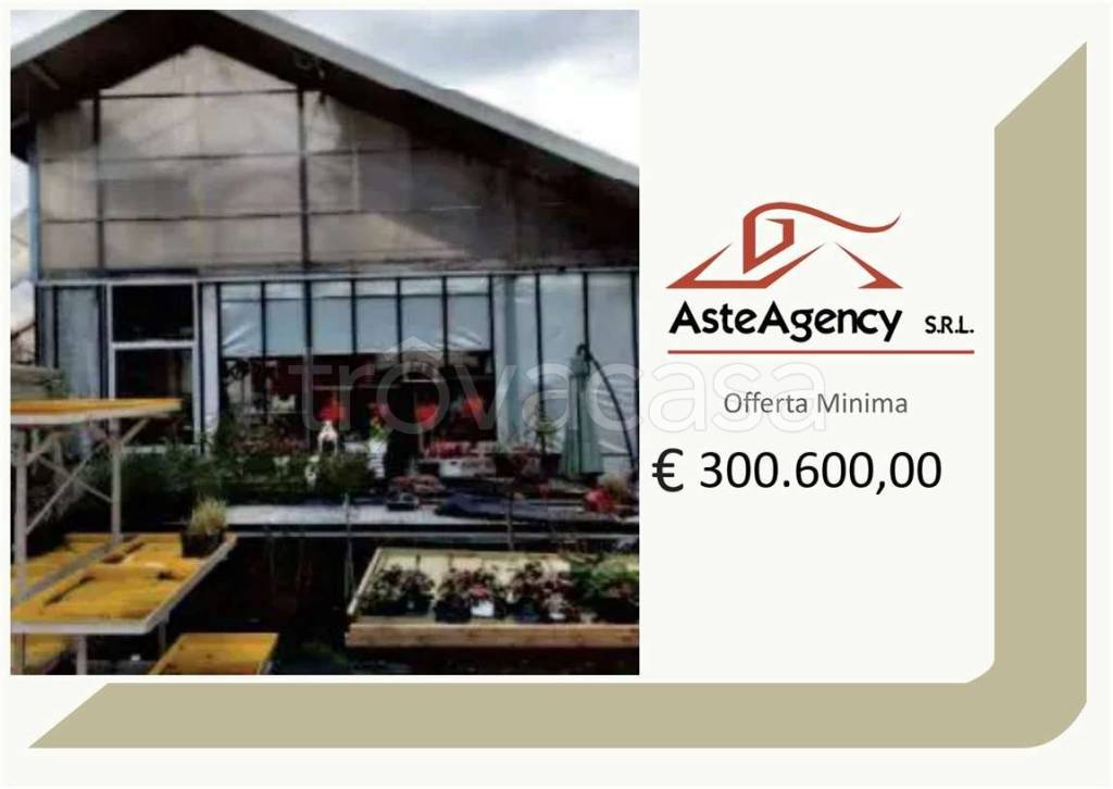 terreno agricolo in vendita a Mussolente