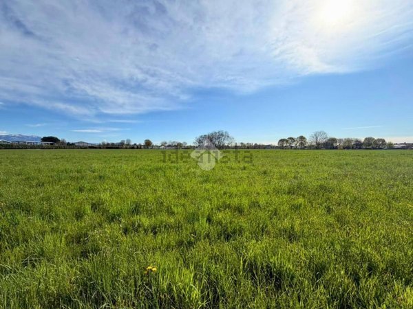 terreno edificabile in vendita a Mussolente